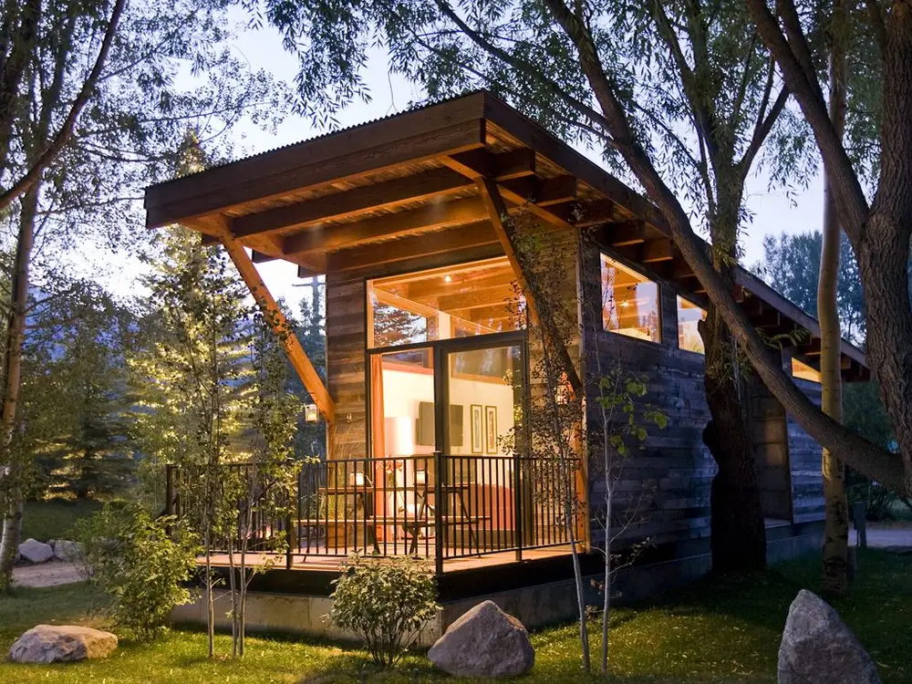 Tiny home surrounded by trees